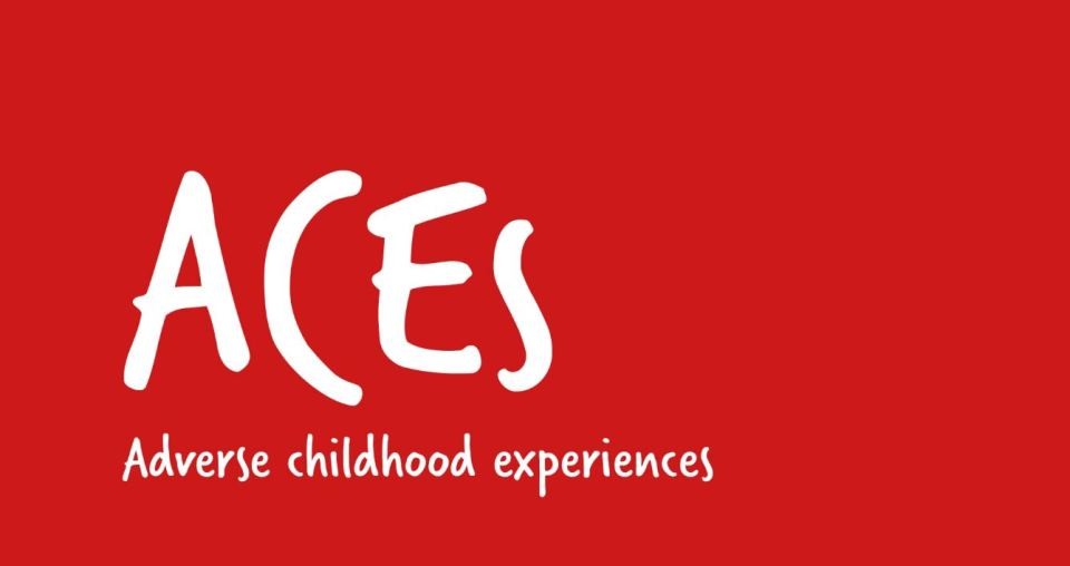 Council attends conference on adverse childhood experiences