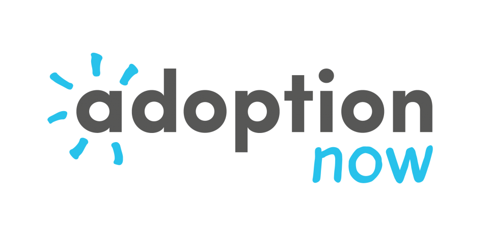 Adoption Now information events available online as need for adopters increases