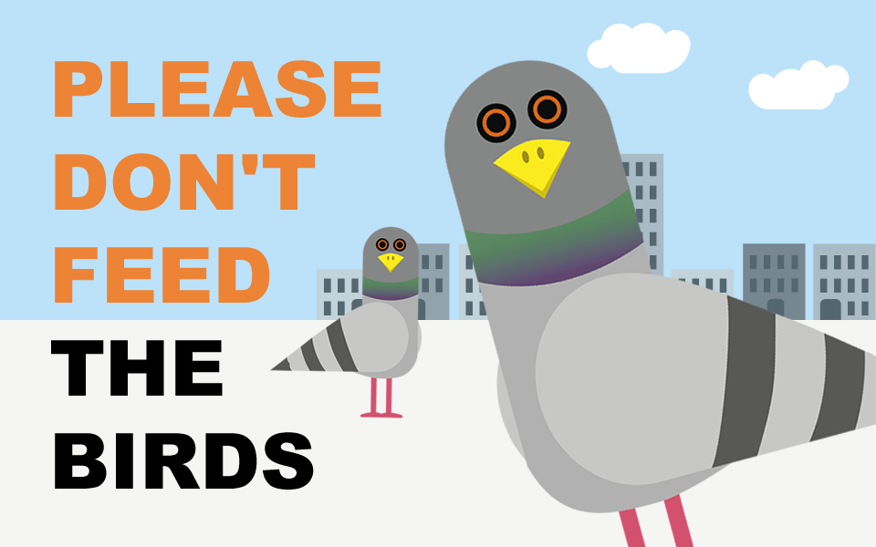 Please don’t feed the pigeons!