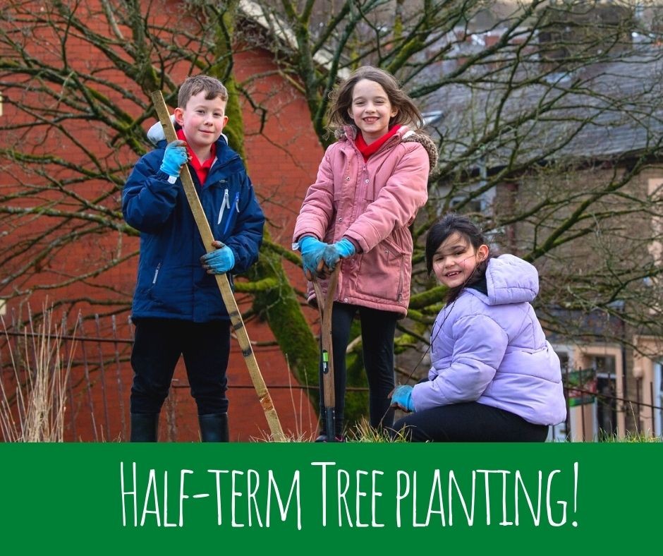 Have a ‘tree-mendous’ time this half-term at free planting sessions