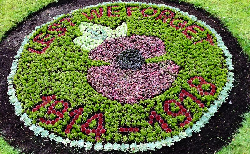 Blooming tribute to brave soldiers of World War One