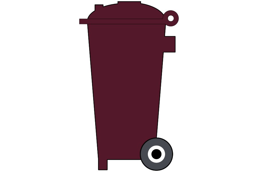 Changes to household bin services – request for larger bin