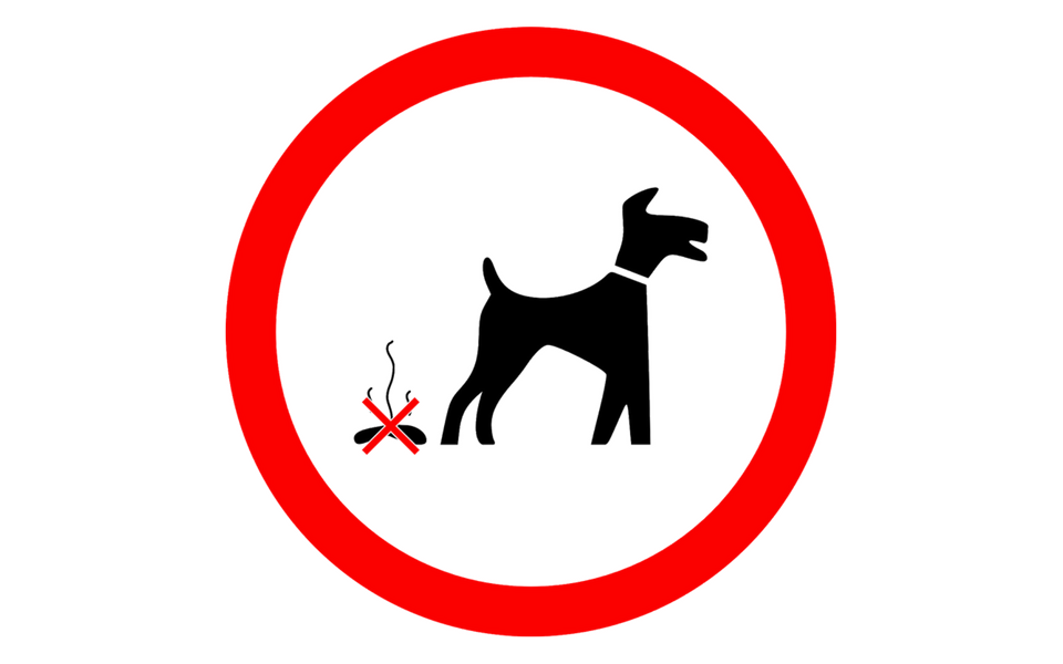 People fined for not picking up dog mess