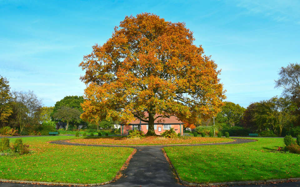 Community orchard, active gym trail and new CCTV underway for Roe Lee Park